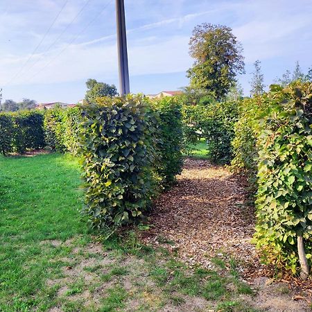 Apartman A2 Lednice Zewnętrze zdjęcie
